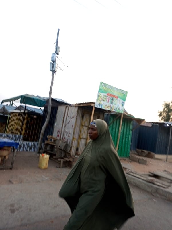 Daily life unfolds on streets of Abarakan, Niger