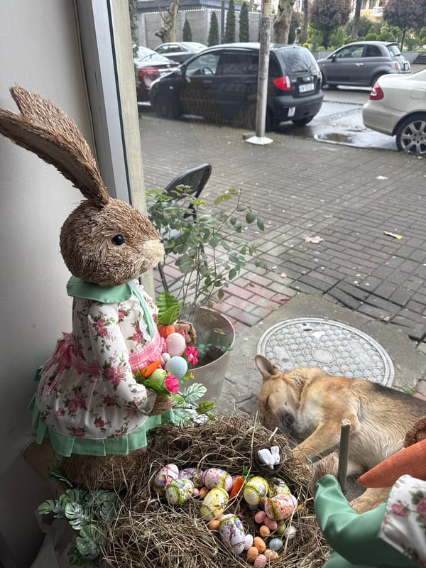 Easter display spotted in Batumi home window