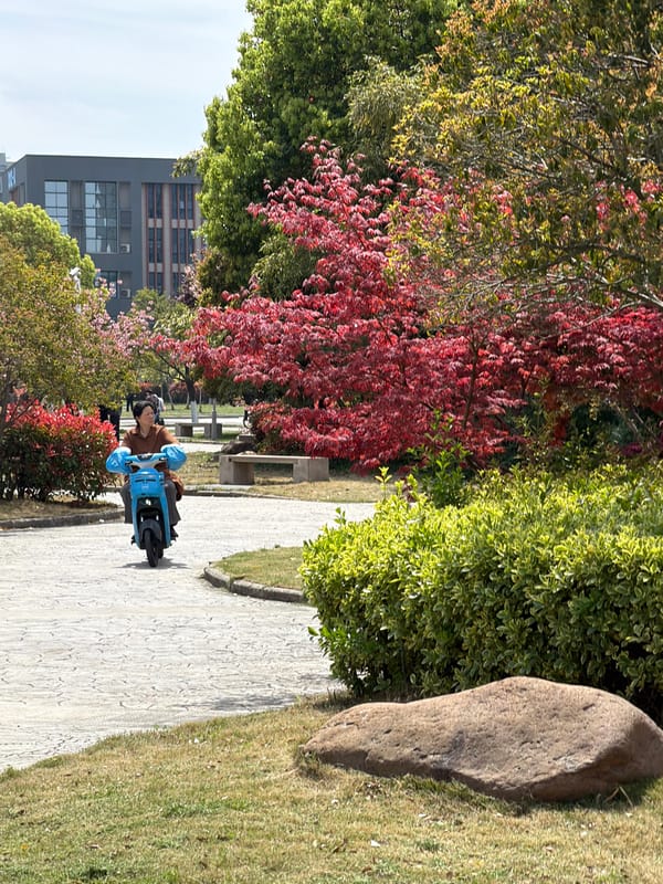 Early morning park activity captured in Jiangning District