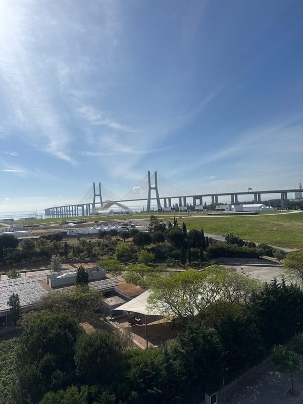 Morning balcony scene with poodle overlooking bridge in Portugal
