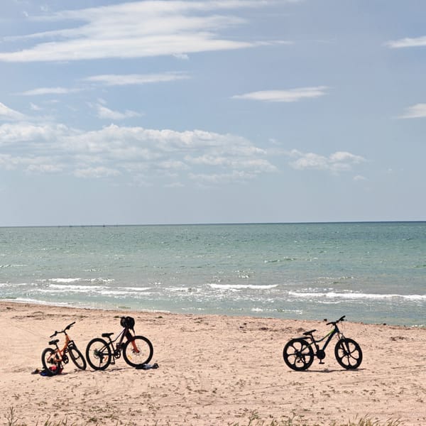 Three bicycles spotted on beach in Shcholkine, Ukraine