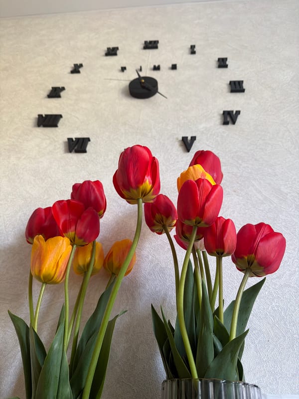 Spring day documented in rural Tokkari, Russia