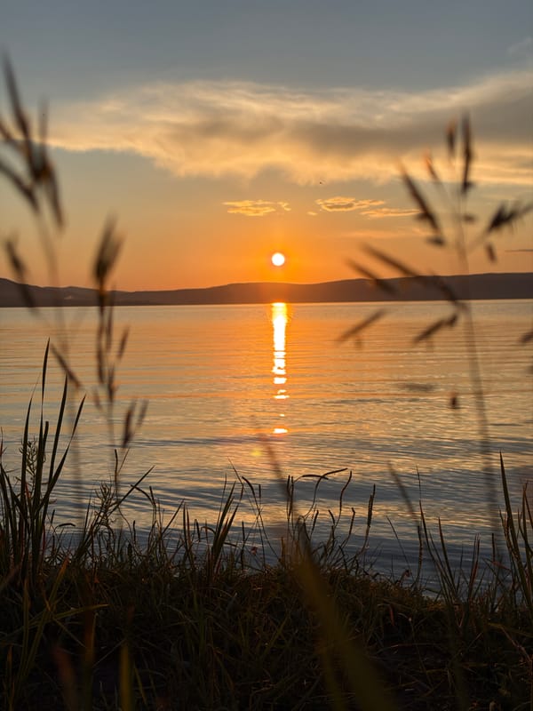 Sunset over a Siberian waterway, framed through reeds and trees