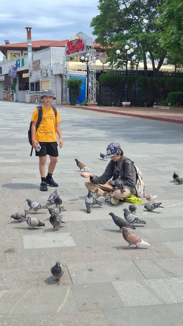 Morning outdoor activities: pigeon feeding and beachside relaxation documented