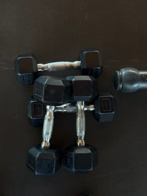 Black dumbbells scattered on surface in Barcelona gym