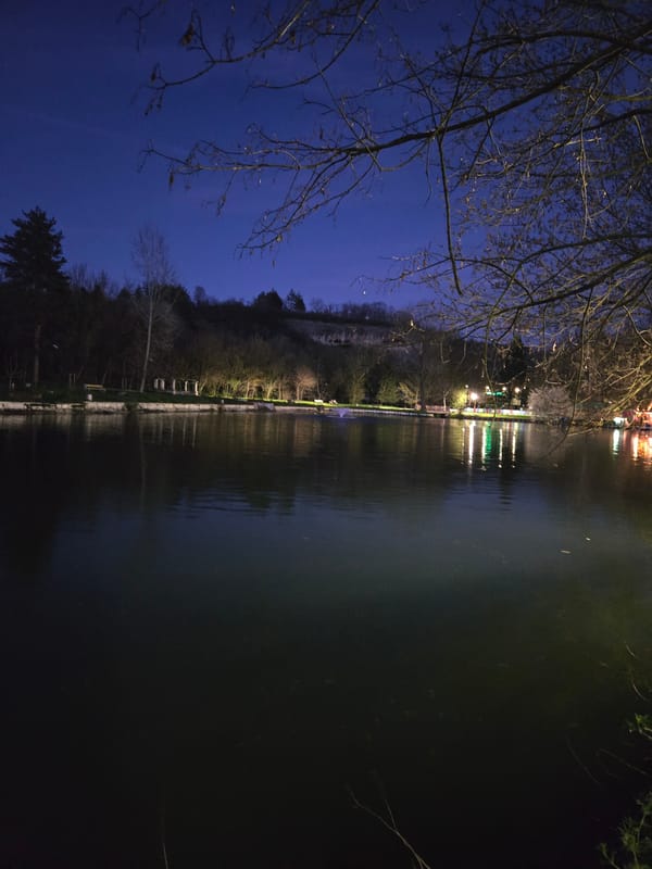 Nighttime scene with water reflections and starlit sky observed