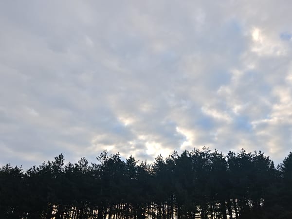Dawn cloudscape photographed over forest in Vratsa, Bulgaria