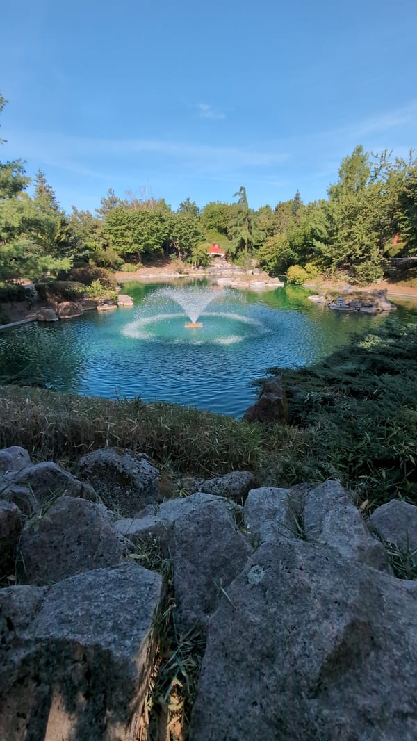 Japanese garden in Dijon on a sunny morning