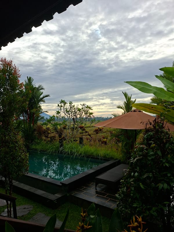 Tropical landscape scenes documented in Ubud, Indonesia