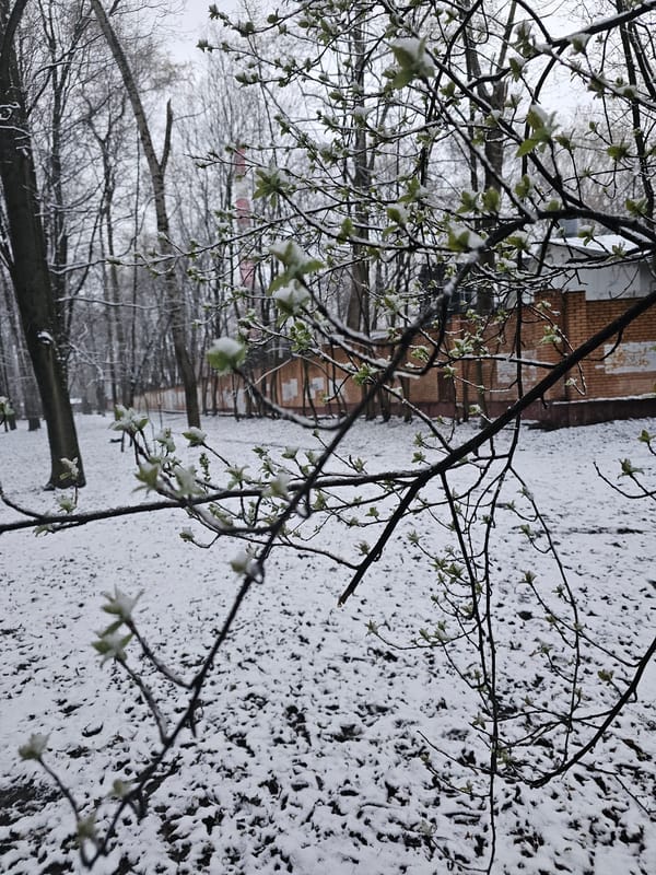 Light snow covers ground in Khimki, Russia