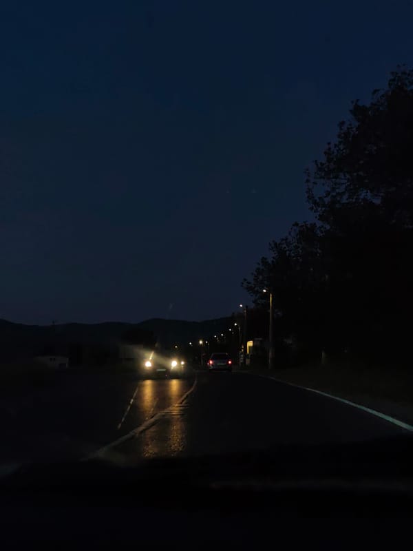 Solo traveler documents afternoon journey through changing landscapes