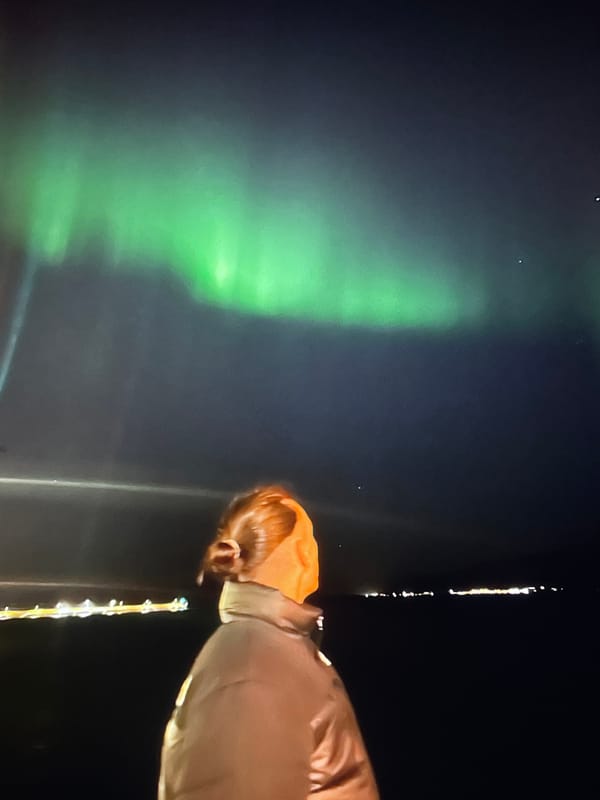 Person witnesses green aurora borealis display in night sky