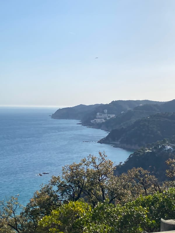 Elevated coastal view captured in Sant Feliu de Guíxols