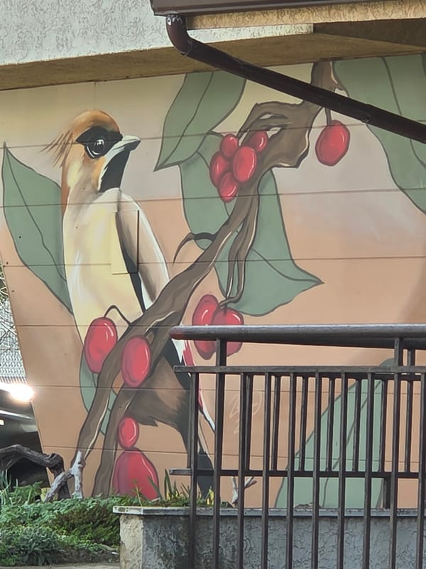 Street art and driving scenes captured in Varna, Bulgaria