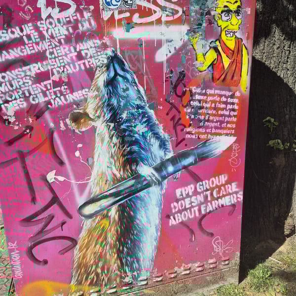 Ordinary Monday morning moments documented across Strasbourg neighborhoods