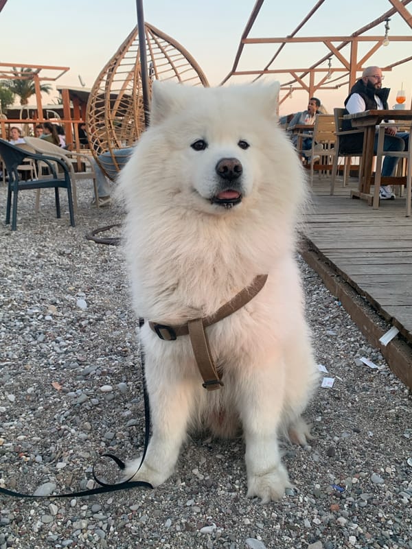 Afternoon beach scenes documented in Bar, Montenegro waterfront area