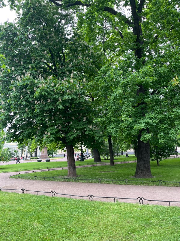 Afternoon walk documented through Saint Petersburg parks and landmarks