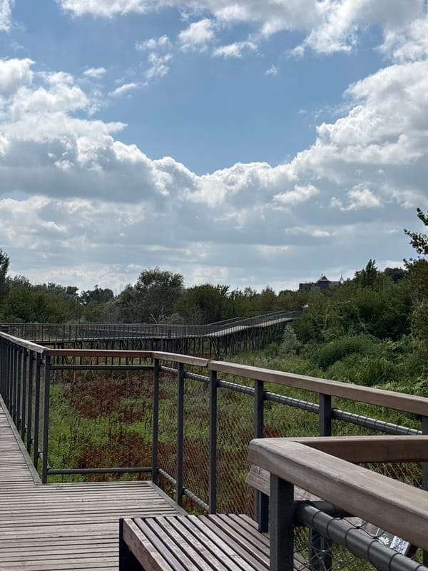 Morning visit to a nature boardwalk and park in Orenburg