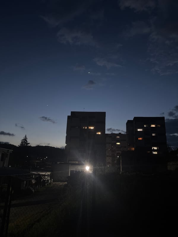 Evening photography session captures kittens, buildings in Zlatograd Bulgaria