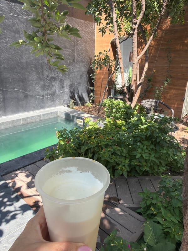 Lazy afternoon at a Tashkent garden property with a pool and husky