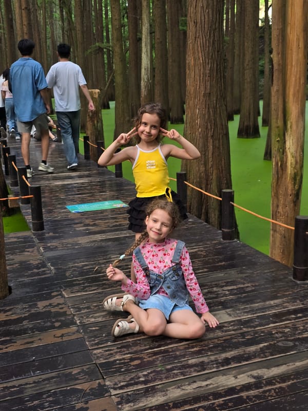 Tourists explore boardwalks through algae-covered swamp forest in China