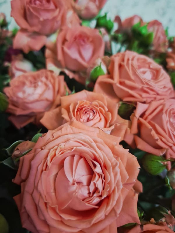 Rose bouquets documented in close-up imagery in Марковский