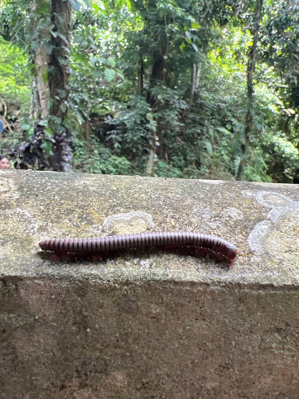 Mother, daughter explore Secret Garden sculptures in Ko Samui jungle