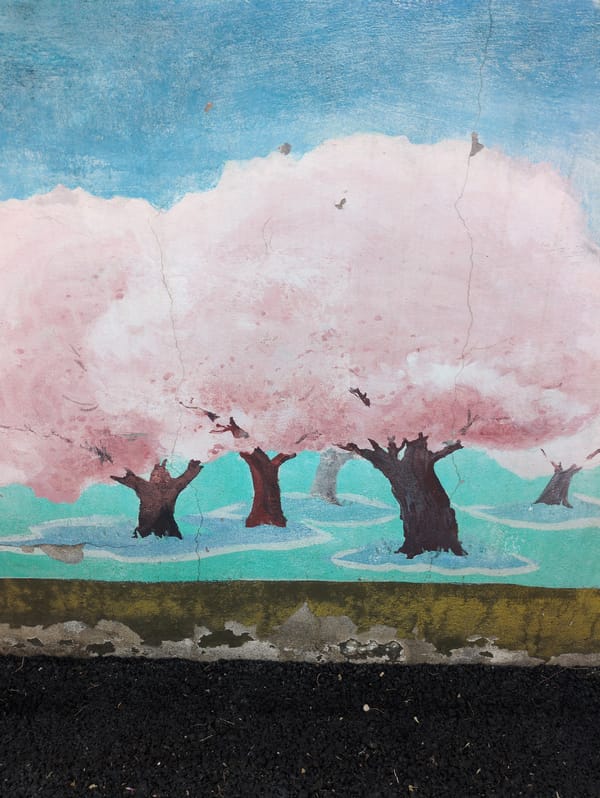 Morning walk documented through rural Geonjin-ri village landscapes