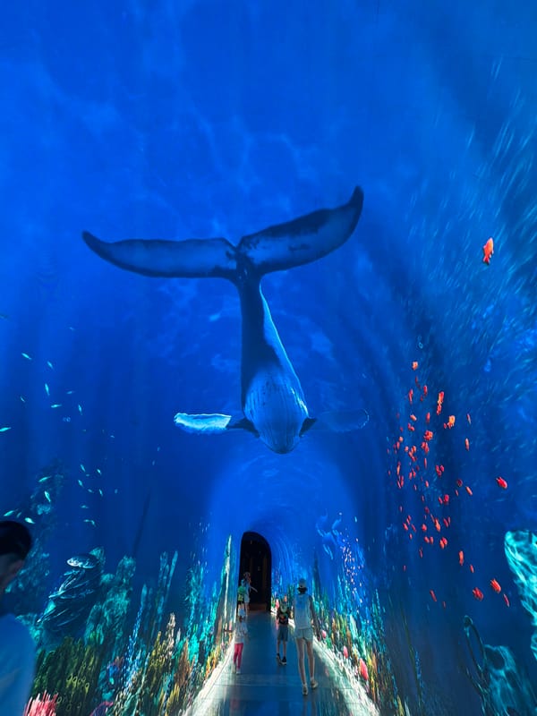 Visitors experience immersive digital whale exhibit with curved LED displays