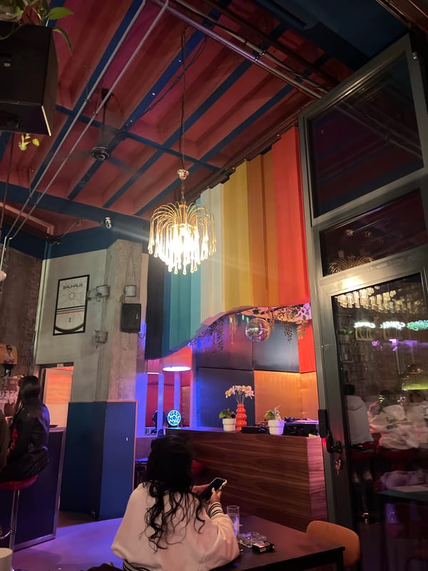 Dog rests in Belgrade restaurant during evening hours