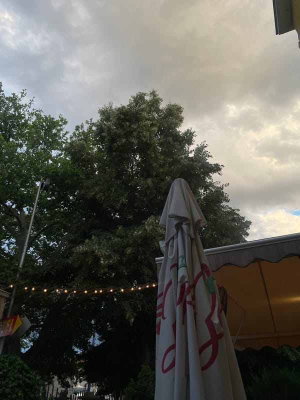 Relaxed afternoon dining, a lounging cat, and patio vibes