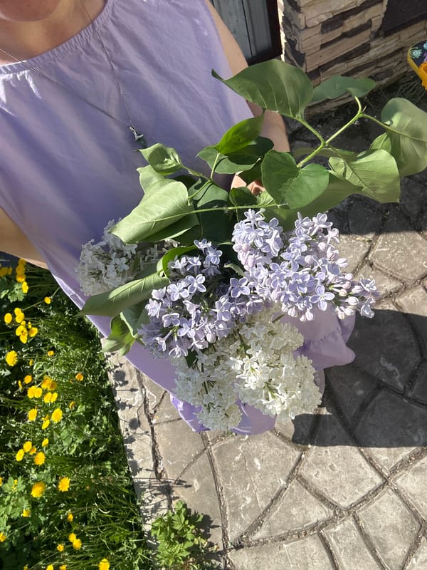 Morning lilac gathering with baby in Nizhny Novgorod park