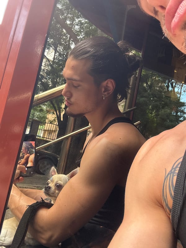 Casual morning in Sofia: street eats, graffiti walls, and a dog