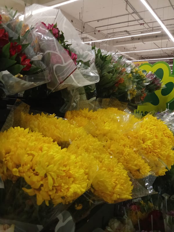 Shopper documents flower displays at Santiago Tottus supermarket