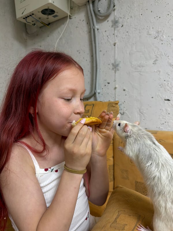 Woman shares snack with pet rat in Markovo home
