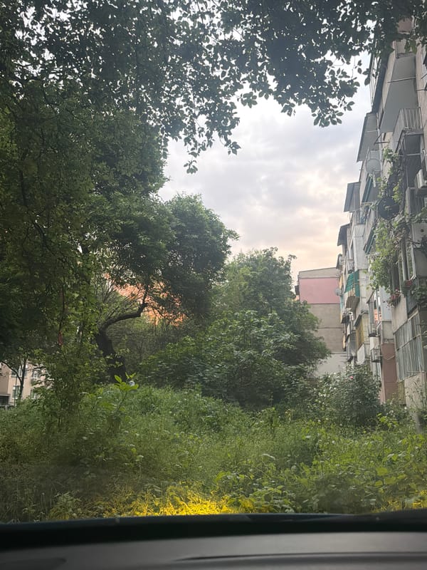Residential view through trees documented in Plovdiv, Bulgaria