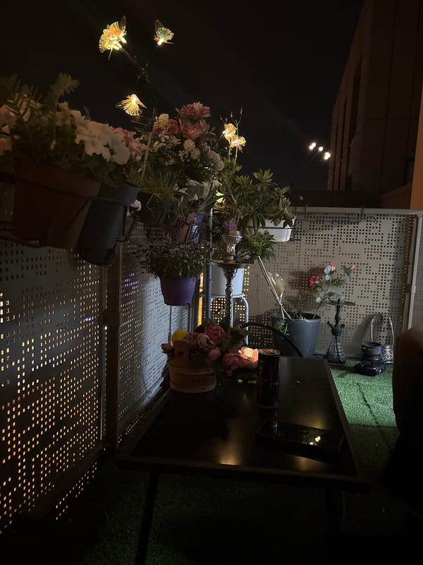Nighttime garden display captured on Strasbourg patio