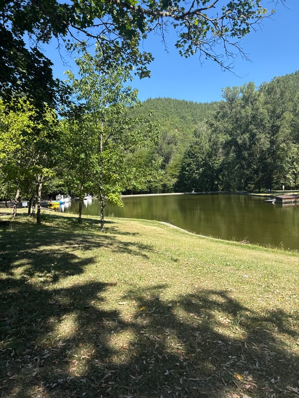 Sunny morning at Bachinovo Park, Blagoevgrad