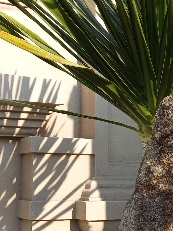 Morning snapshots captured around Bắc Nha Trang, Vietnam