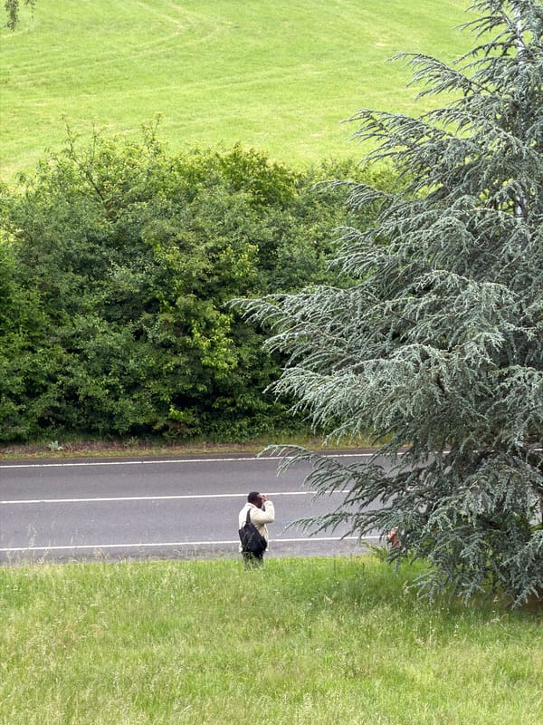 Morning moments captured across Leudelange, Luxembourg