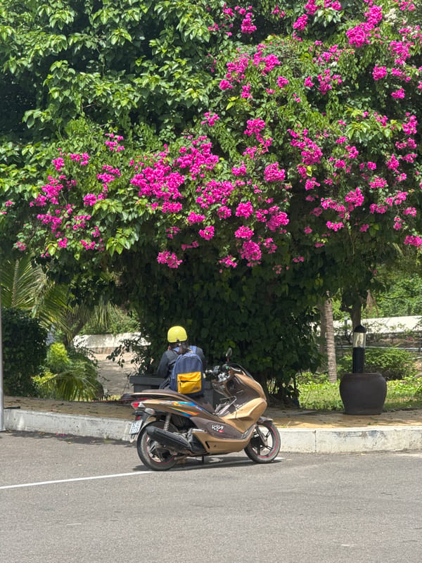 Coastal road stop in Phú Thủy on a cloudy morning