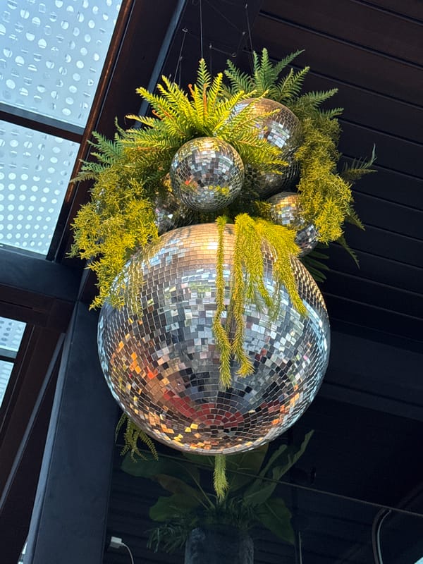 Disco balls and ferns create ceiling display in Varna