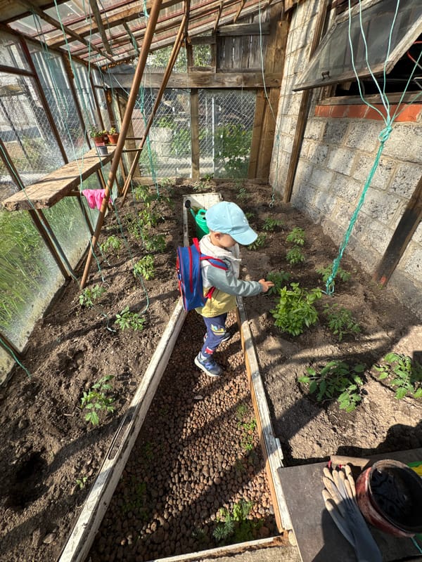 Morning glimpses of life in Rezekne: child, garden, dog