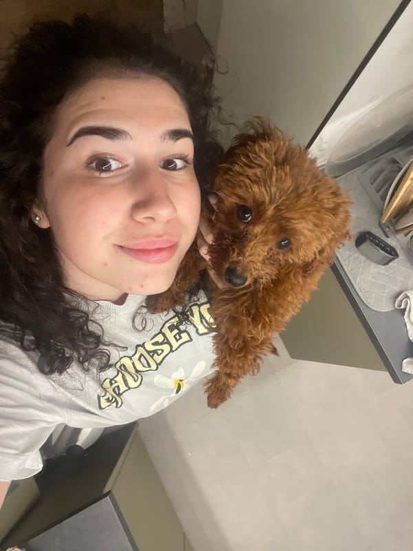 Woman enjoys afternoon playtime with poodle and cat in Sofia