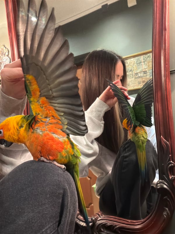 Daily life moments documented across Khimki, Russia