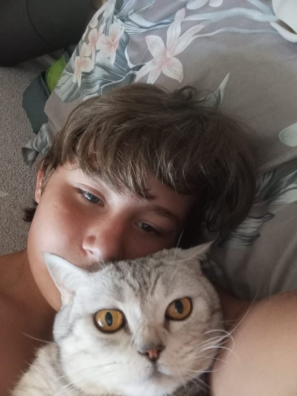 Quiet morning in Sozonivka with a gray tabby cat