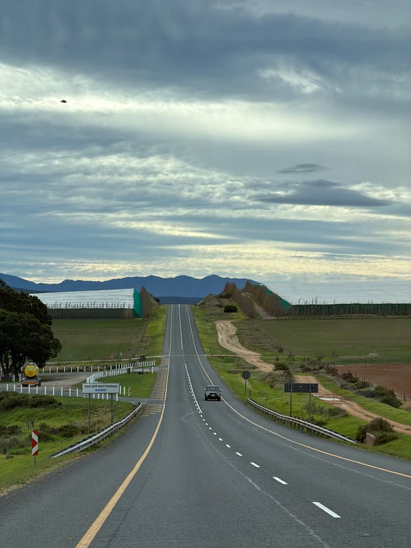 Car travels rural road through farmland in South Africa