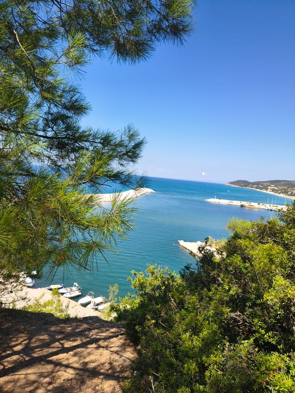 Hillside pine views over Limenaria and the Aegean Sea