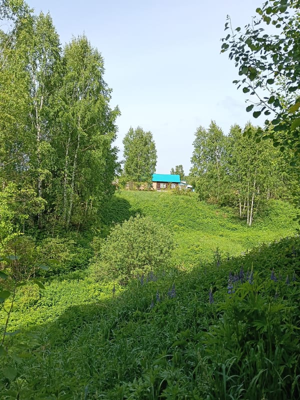 Urban green spaces and gardens observed in morning documentation