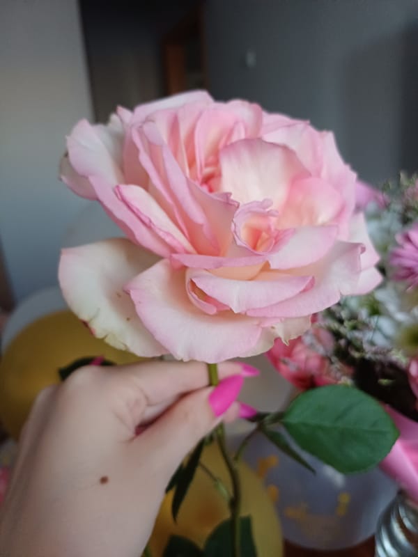 Pink roses, bubbly, and balloons — looks like a celebration